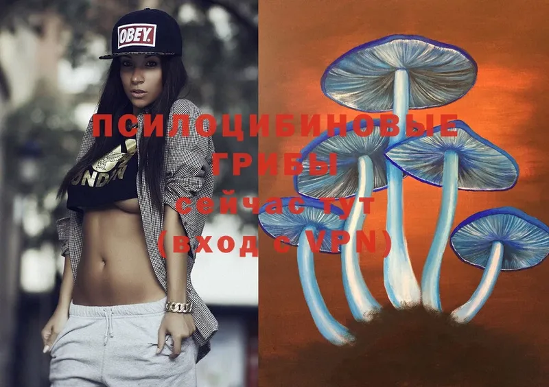 Псилоцибиновые грибы Magic Shrooms  где продают   Прокопьевск 